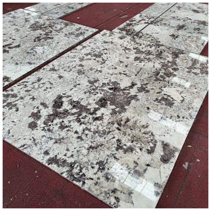 Splendor White Granite Tiles Splendor White Granite Tiles