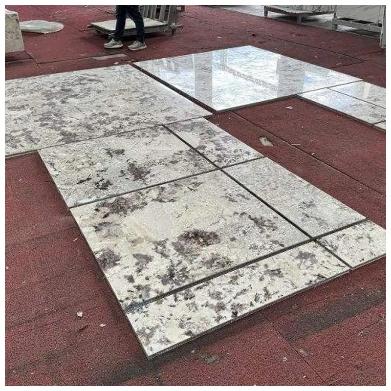 Splendor White Granite Polished Tiles Splendor White Granite Polished Tiles